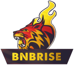 BNBRise (BRISE)