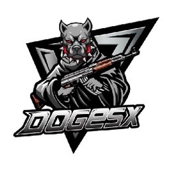 Doge SpaceX (DOGESX)