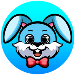 Crazy Bunny Equity Token (CBUNNY)