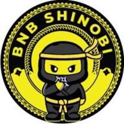 BNB Shinobi (CHAKRA)