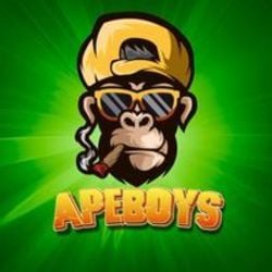 ApeBoys (APEBOYS)