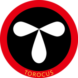 TOROCUS Token (TOROCUS)