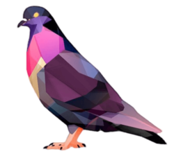 Pigeon Sol (PGNT)