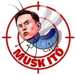 Musk Ito (MITO)